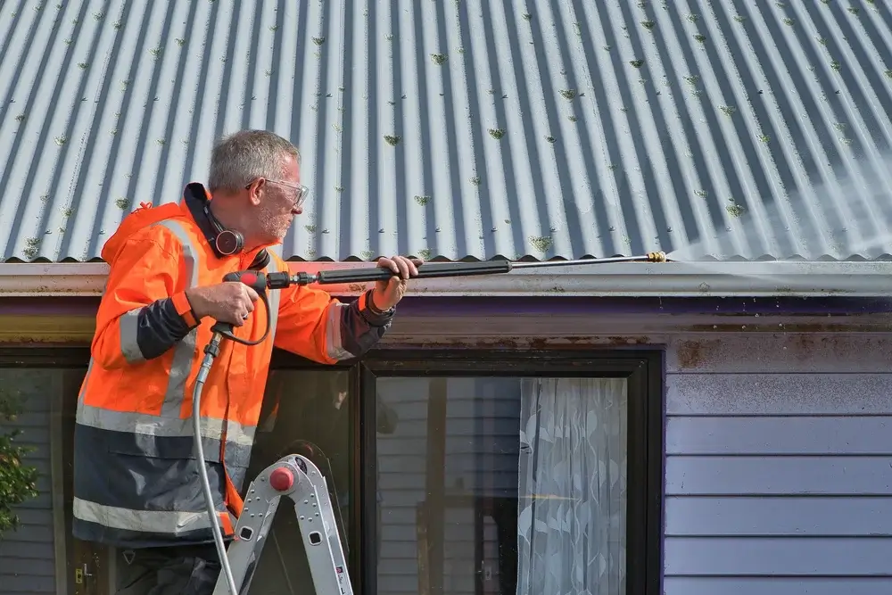 Gutter Cleaning